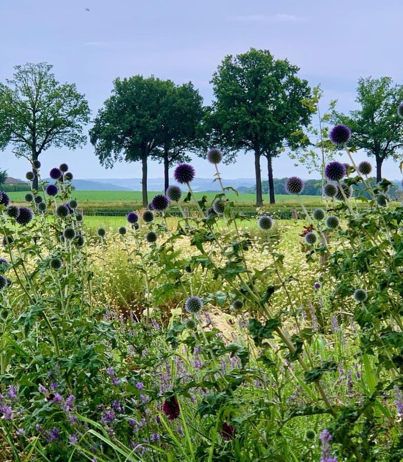 Готель Hoeve Beusdalshof Ingber Екстер'єр фото